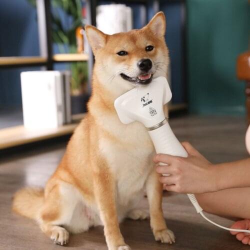 Dog Hair Dryer Pet Hair Dryer Cat Hair Brush Cat Hair Dryer Dog Hair Dryer Electric Hair Brush Blow Dryer