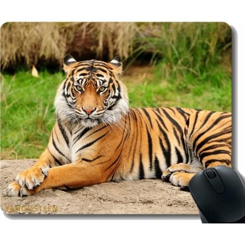 Custom Original Mouse Pad,Tiger Lying Big Cat Predator Nature 52470 Mouse Pad With Stitched Edge