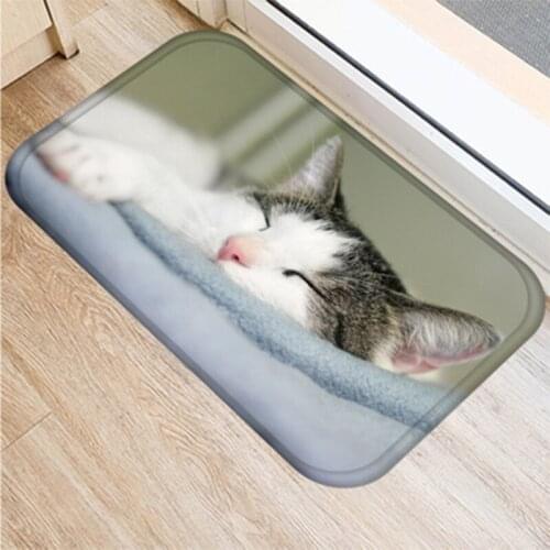 Flannel Cartoon Pattern Antiskid Doormat Rectangle Animal Cat Printing Home Bedroom Living Room Doormat Hand Washable
