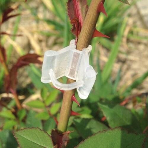 100pcs/Pack Mini Transparent Plastic Grafting Clips Tomato Clips Plant Supports Connects Vines Plants Seeding Grafting Clips