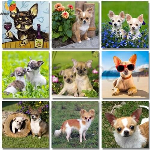 Full Drill Round 5D Diy Diamond Painting Chihuahua Dog Diamond Embroidery Cross Stitch Rhinestones Mosaic Paintings By Numbers