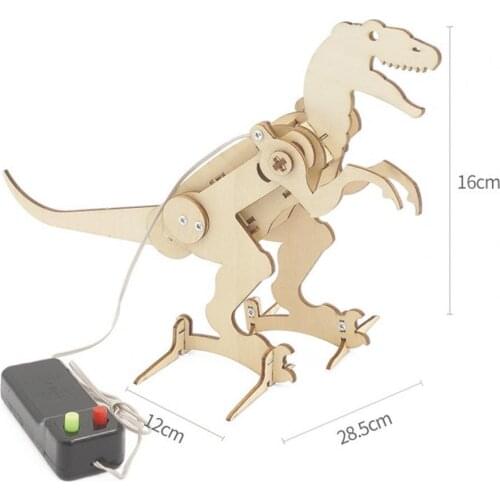 Learning Kit Hands-on Activities Easy to Assemble Wood Physics Science Educational Toy for Kids