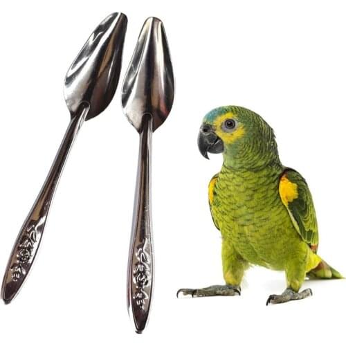 2 Pcs Bird Parrot Feeding Spoon Stainless Steel Water Milk Powder Feeder Spoons For Small для попугаев Bird Supplies