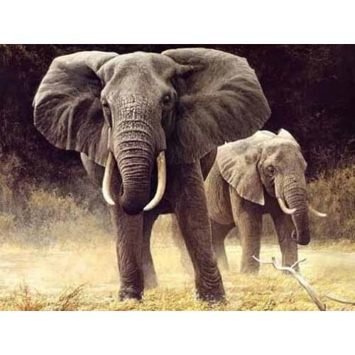 HIGH QUALITY OIL PAINTING ON CANVAS : ELEPHANT