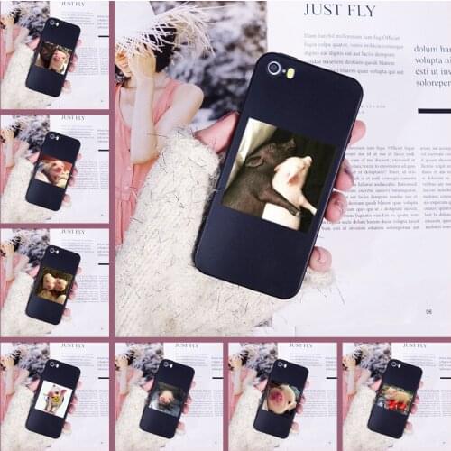 Cute Pig Kawaii Animal Funny Fashion Phone Case For iPhone 4 4S 5 5C 5S SE Soft Silicon Back Cover For iPhone 4 5 S Case