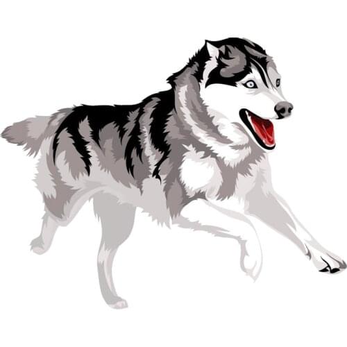 Dawasaru Funny Running Wolf Head Car Sticker Waterproof Decal Laptop Suitcase Truck Motorcycle Auto Accessories PVC,16cm*12cm