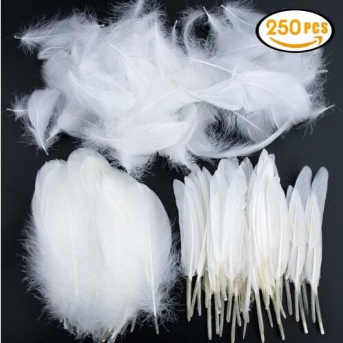 Wholesale 250pcs White Goose Feathers for Crafts Beautiful Swan Feather Party Jewelry Making Decoration Accessories 8-18 cm Long