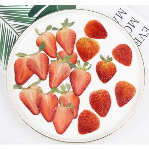 DIY Home Decoration Accessories Embossing Drop Glue Fruit Dry Slice Strawberry Peel Slice Green Lemon Flores Mothers Day