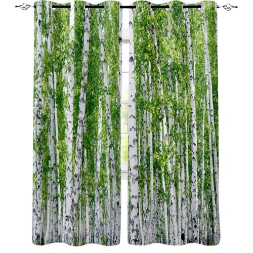 Birch Trees Nature Modern Blackout Curtains For Living Room Bedroom Window Treatment Blinds Drapes Kitchen Curtains