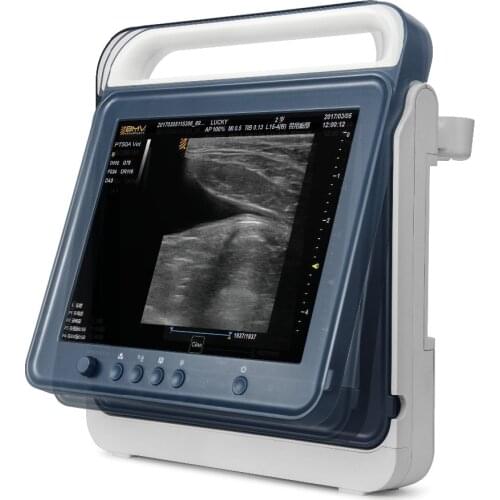 Veterinary Medical Equipment: PT50A Portable Vet Black and White Ultrasound Scanner for Pets