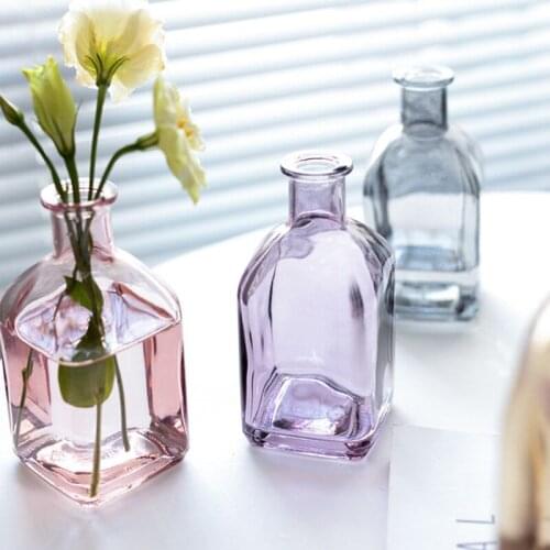 Glass Vase Home Small Hydroponic Plant Glass Bottle Living Room Decoration Dried Flower Decoration Multicolor Mini Flower Vases