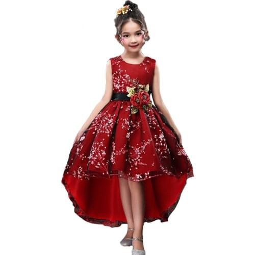 Toddler Girls Long Tutu Christmas Dress Flower Girls Wedding Evening Party Vestidos Bow Lace Elegant Embroidery Princess Dress