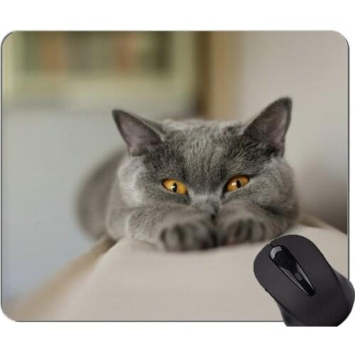 Mouse Pad with Stitched Edge,Chartreux Gray animal funny cat Non-Slip Rubber Base Mousepad