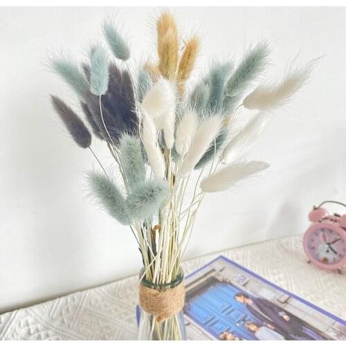 Natural Plants White Pampas Grass Black Light Grey Rabbit Tail Grass Home Party Decoration Dried Flowers For Photo Shoot Props