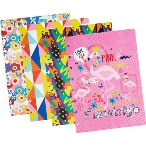 A5 Binding Cover Mushroom Hole Binder Cover 8 Hole Notebook Shell Environmental Protection Thickened PP Color Cover Disc Binding