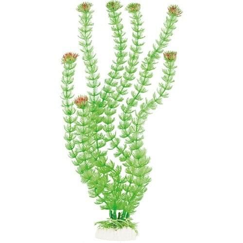 MARKA Equipment For Aquariums