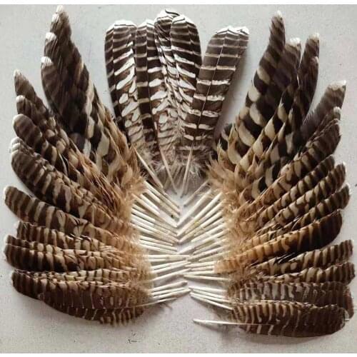 A set beatiful natural pheasant feathers 20-40cm Jewelry accessories stage performance decoration diy