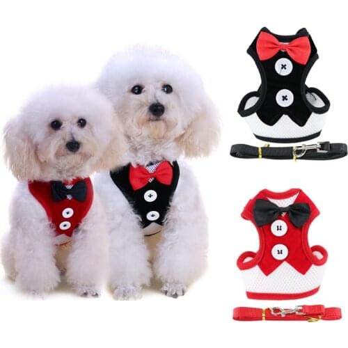 Dog Cat Harness Leash Cute Bow Knot Adjustable Chest Belt For Small Dogs Walking Traction Rope Pet Chest Strap Leashes Sets