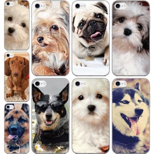 Print Animal Pet dog TPU Soft Silicone Phone Case For Google Pixel 5 5XL 4XL 2 3 4 4A 4G 5G 3A XL 2XL 3XL Lite Cover Case Fundas