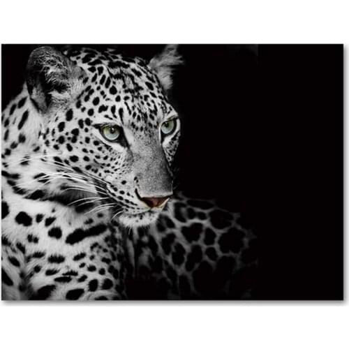 Leopard Nordic Poster Canvas Painting Wall Art Black White Posters And Prints Wall Pictures For Living Room Decor