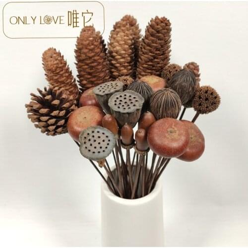 10pcs dried pine nuts natural dried fruit acorn lotus root Nordic home decoration photos props decoration luxury festival