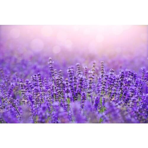 JMINE Div 5D Sunset violet lavender flower field Full Diamond Painting cross stitch kits art Floral 3D paint by diamonds