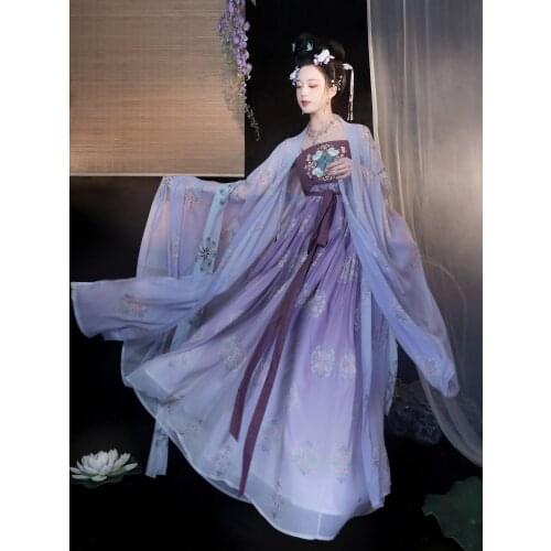 XinHuaEase Traditional Chinese Style Tang Dynasty Hezi Skirt Hanfu Women Dresses Fairy Oriental Ancient Purple Big Sleeve Shirt