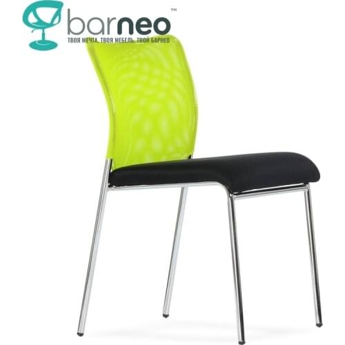 BarneoPro Conference Chairs