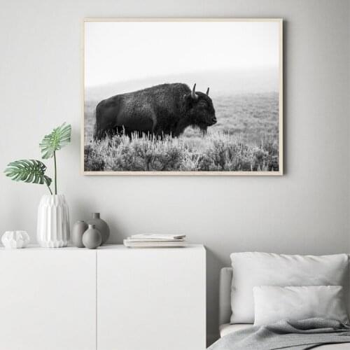 Farm Animal Buffalo Wall Art Canvas Painting Modern Photography Poster Prints Black and White Picture Home Art Wall Decor