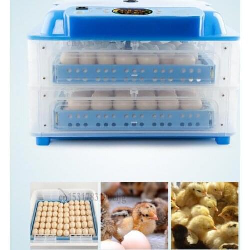 Incubator automatic household chick incubator small water bed incubator intelligent egg incubator