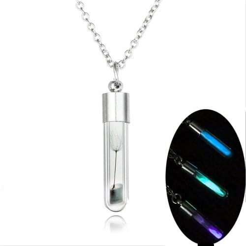 Glass Pendants Necklace Luminous Chain For Women Fashion Necklaces Wish Real Dandelion Crystal Glowing Kida Necklace
