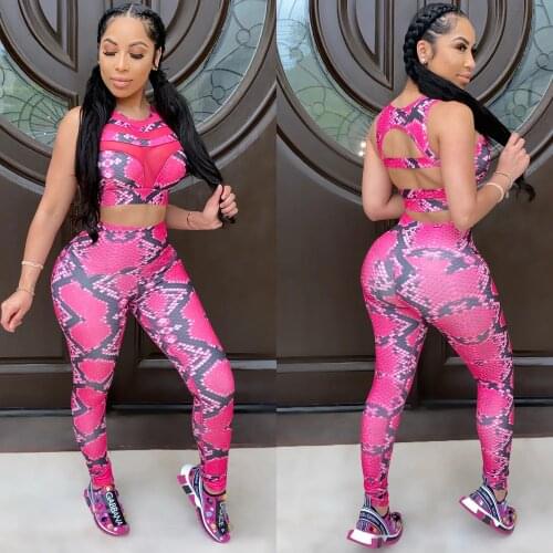 ANJAMANOR Snake Skin Mesh Spliced Sexy 2 Piece Set Women Crop Top and Leggings Pants Sporty Sweatsuit Womens Tracksuits D42-CD24