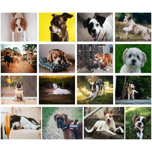 Full Drill Mosaic Diamond Painting Pet Dogs Pugs Beagles Harry Dogs Saint Bernards 5D DIY Diamond Embroidery Wall Decoration