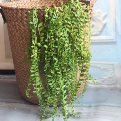Artificial Succulents Pearls Fleshy Green Vine Flowers Hanging Rattan Wall Garden Decoration Flower Lover Tears Succulent Plants