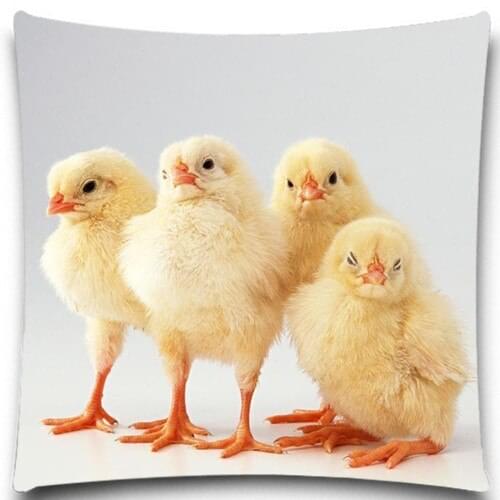 Four little yellow duck pattern Square Pillow Case Cotton polyester 16" 18" 20" Inches Bedroom Office Throw Decorative 9 style