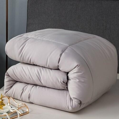 Three-dimensional Duvets Are Thickened in Winter Goose Core Can Be Used As Bedding Seasons to Keep Warm and Thick in Winter