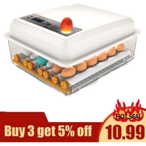 110/220V Eggs Incubator Automatic Chicken Incubator for Farm Quail Chick Hatchery Accessories Egg Incubator Farm Incubation Tool
