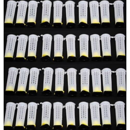 40Pcs Beekeeping Plastic Queen Bee Farm Tools Cage New King Rearing Protection Cover Larva Cupkit Protective Roll Supplies