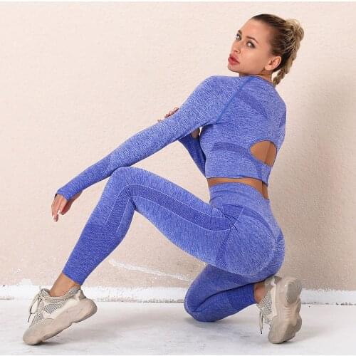 Women Seamless Yoga Suit Workout Clothes Solid Gym Clothing Long Sleeve Crop Tops Tights High Waist Leggings Fitness Pants