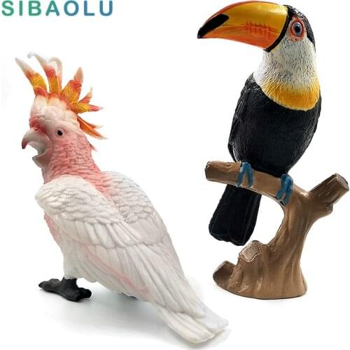 Simulation Toucan Cockatoo figure Animal Model Bird Parrot Figurine home decor miniature fairy garden decoration accessories toy