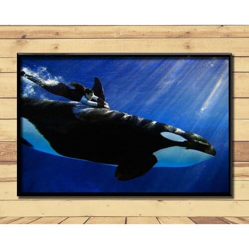 Orca Ferocious Marine Animal (13) Wall Posters Prints Silk Art Painting For Home Wall Bedroom Decor