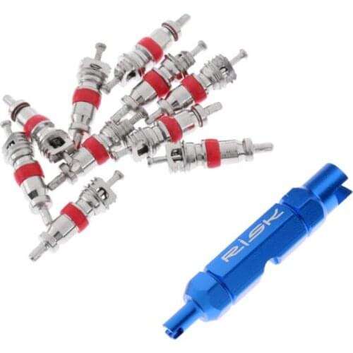 Aluminium Alloy 10Pcs Bike Inner Tube Valve Core Schrader Anti Rust + Double Ended Schrader Valve Core Remover Tool