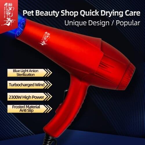 Pet hair dryer high power Teddy water blower silent dryer Cat Dog Bath quick drying hair dryer for dogs and cats