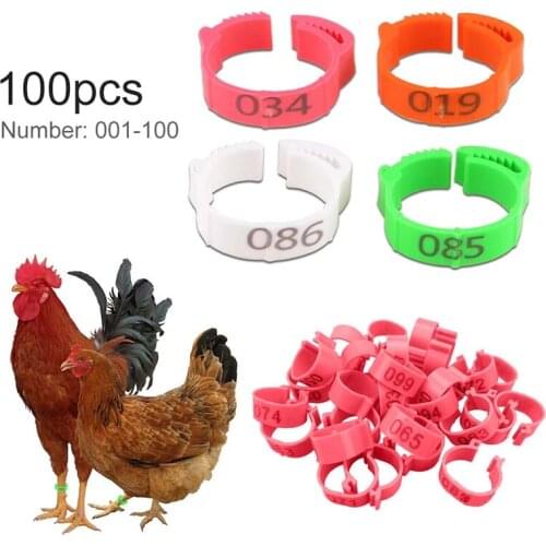 100pcs Chicken feet ring poultry legs without digital label buckle plastic duck and goose farm equipment adjustable size