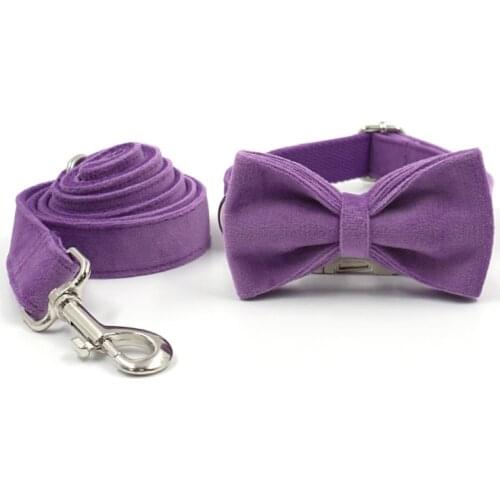 Dog Collar Nameplate Personalized Bowtie Dog Collar for Girl Dogs Adjustable Cute Purple Puppy Collar for Yorkshire Shih Tzu Pug