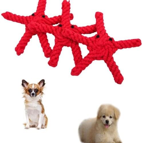 Small Large Starfish Dog Toys For Dog Funny Chew Durable Knot Cotton Rope Puppy Toy Dog Accessories