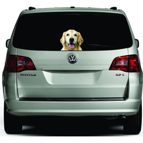 Golden Retriever sticker 20x20cm (Custom Optional) realistic golden retriever sticker, golden retriever car decal