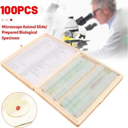 100Pcs/Set Microscope Glass Slides Sample Glass Prepared Basic Science Biological Specimen Cover Slips Wood Storage Box Portable