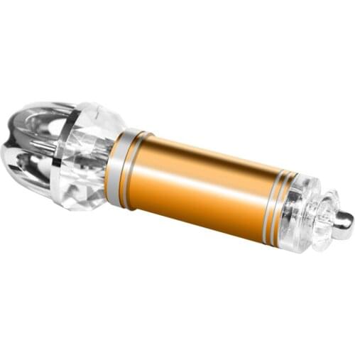 Car Ionizer Fresh Air Purifier Oxygen Ozone Bar Remove Odors Smell Gold