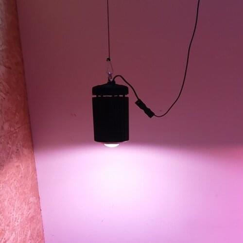 Plant Grow Light Horticultural Lighting GreenHouse Powerful LED Grow Lamps 240W